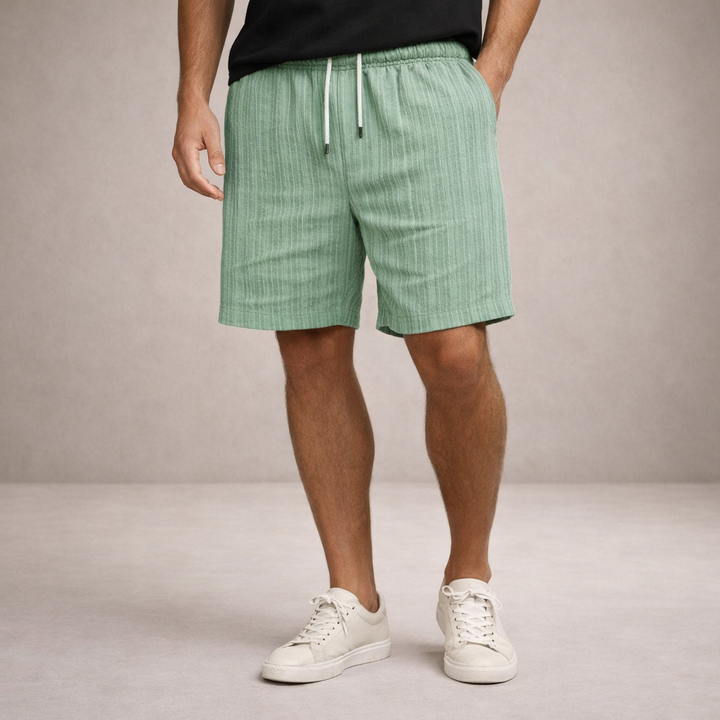 Men's Striped Regular Fit Shorts