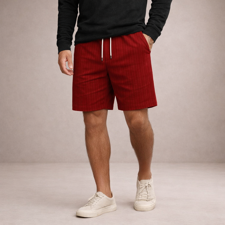 Men's Striped Regular Fit Shorts