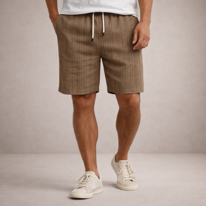 Men's Striped Regular Fit Shorts